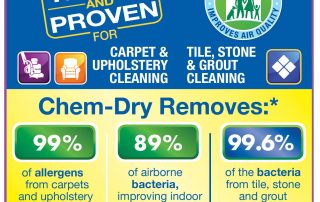 allergens removed from upholstery cleaning