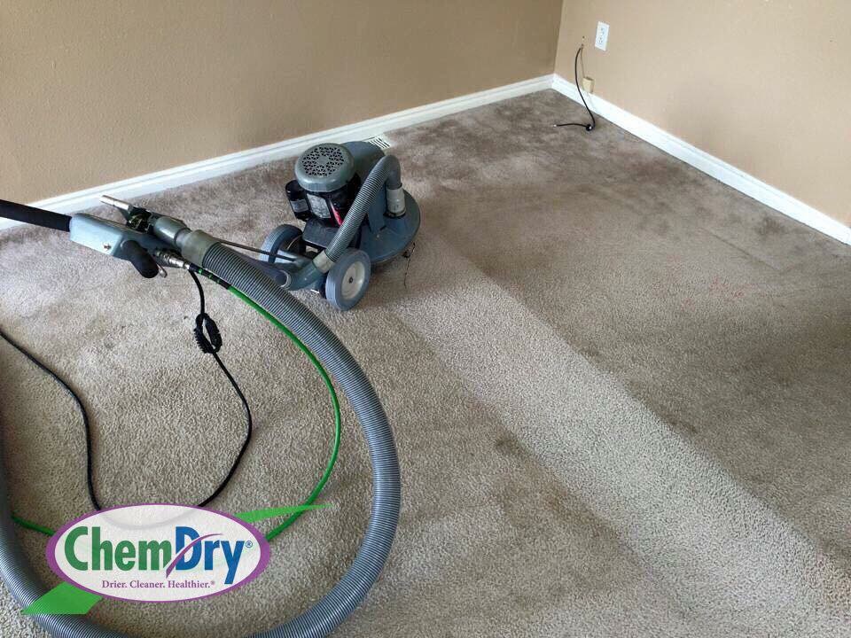 carpet cleaning glendale az