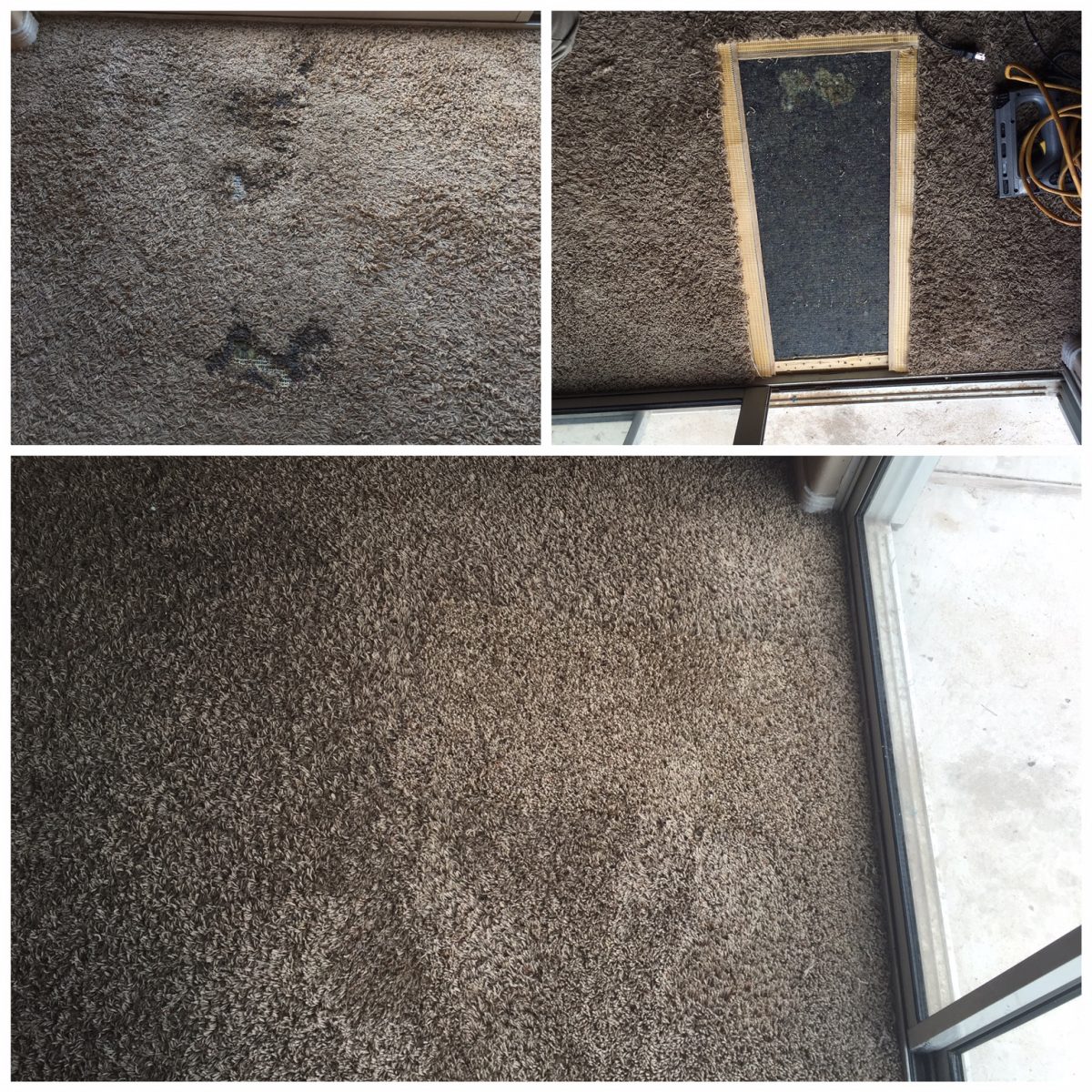 Carpet Cleaning Glendale AZ Carpet and Upholstery Cleaning