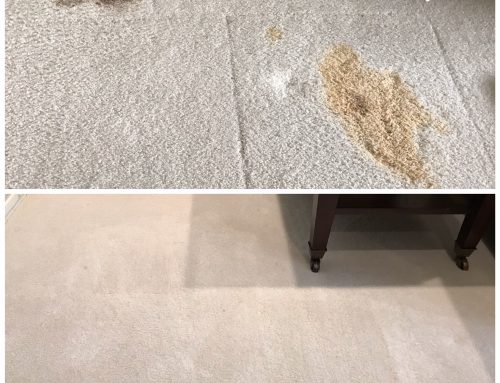 How To Remove Blood From Carpet
